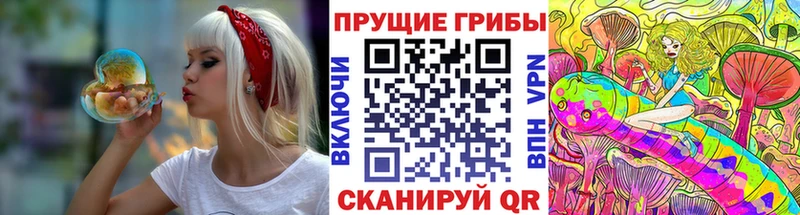 дарк нет клад  Черкесск  Псилоцибиновые грибы MAGIC MUSHROOMS 
